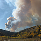forest fires burning